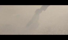 汤姆最新爆料新闻视频,最新爆料新闻视频深度解析