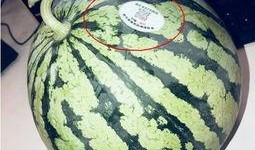 网红吃瓜aaa,揭秘娱乐圈幕后真相